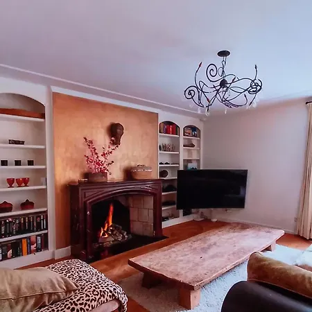 Ferienhaus Exclusieve Met Luxe Faciliteiten Aerdenhout