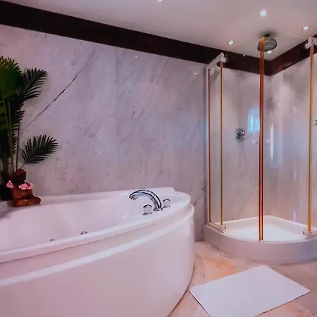 Ferienhaus Exclusieve Met Luxe Faciliteiten Aerdenhout